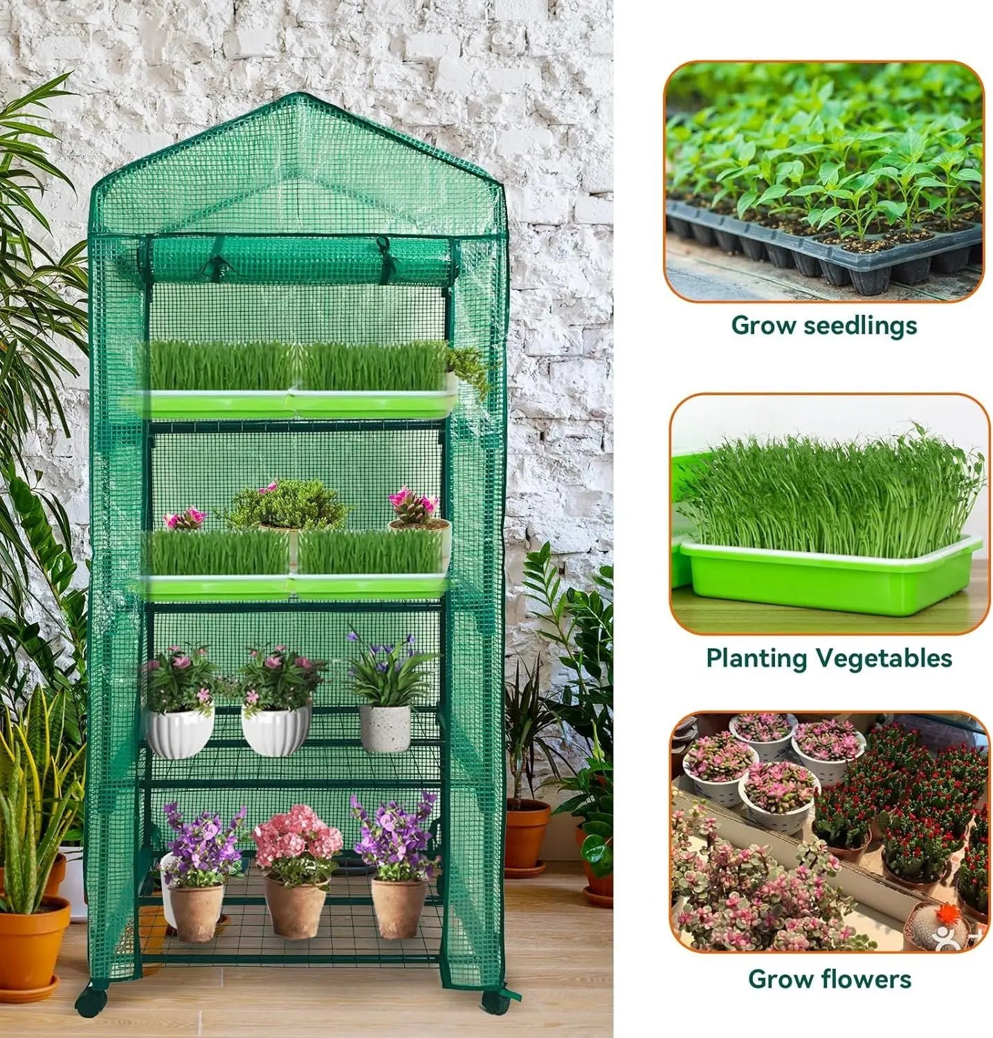 Mini Greenhouse,4 Tier Small Portable Greenhouses Kit with Caster Wheels and Roll-up Zipper PE Cover,Green House for Indoor Outdoor Seedling and Plant Growing (70x50x165cm),Green Doba